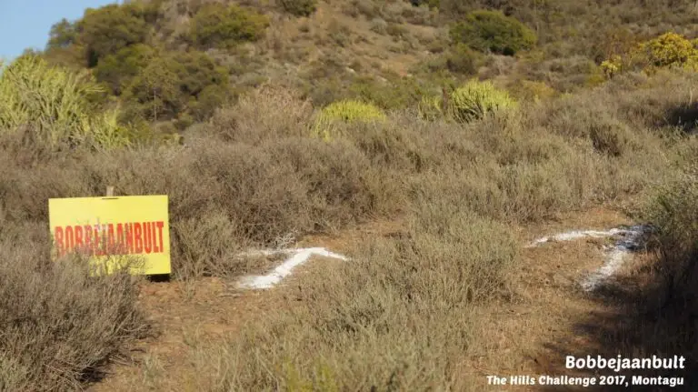 mtb routes