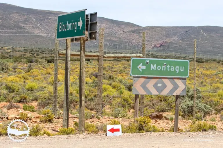 Montagu